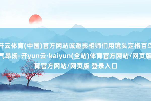 开云体育(中国)官方网站诚邀影相师们用镜头定格百鸟争鸣的秀气昂扬-开yun云·kaiyun(全站)体育官方网站/网页版 登录入口