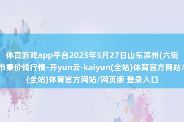 体育游戏app平台2025年5月27日山东滨州(六街）鲁北蔬菜批发市集价钱行情-开yun云·kaiyun(全站)体育官方网站/网页版 登录入口