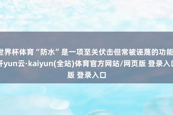 世界杯体育“防水”是一项至关伏击但常被诬蔑的功能-开yun云·kaiyun(全站)体育官方网站/网页版 登录入口